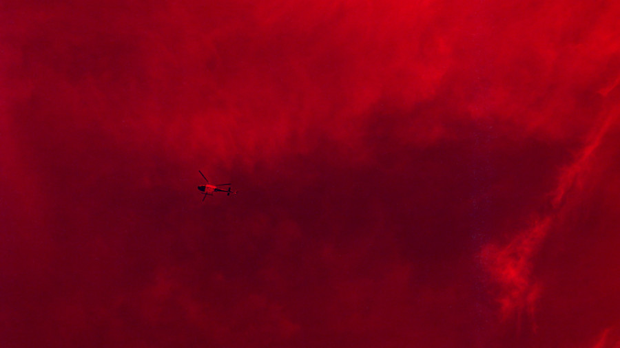 P. Staff, Prince of Homburg, 2019. Video Still. Courtesy P. Staff