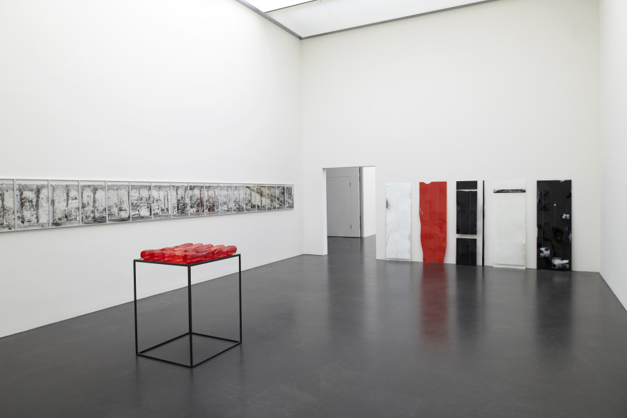 Ausstellungsansicht zentral!, Kunstmuseum Luzern, 2021, mit Werken von Nathalie & Celia Sidler, Lukas Hoffmann und Sebastian Haas, Foto: Franca Pedrazzetti