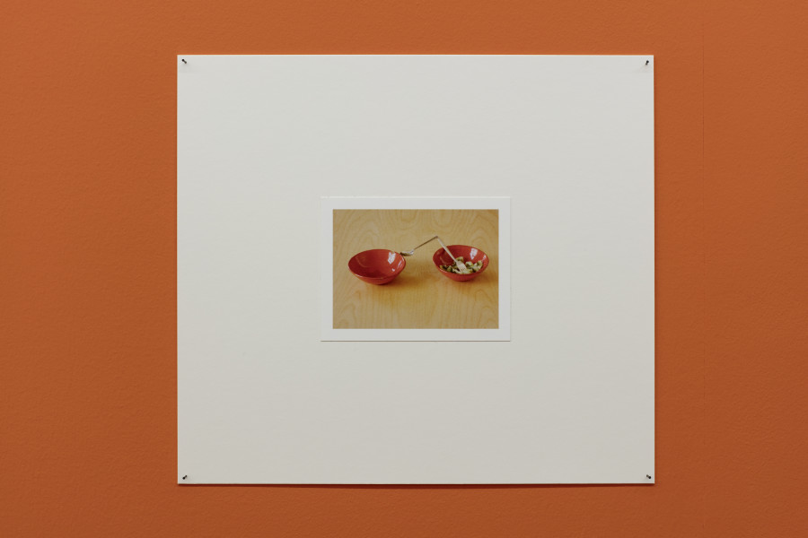 Manon de Boer, The Untroubled Mind, 2013–2018, Courtesy the artist and Jan Mot, Photo: Stefan Rohner