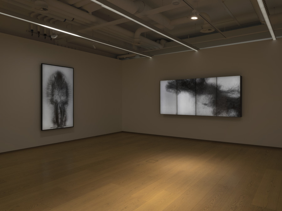 Installation view, teamLab, Existence in an Infinite Continuity, Pace Gallery, 2022. Photo credit: Julien Gremaud