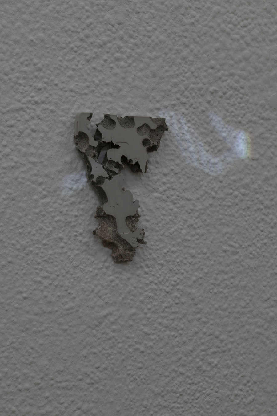 RADICAL SOURCES, Claire Fontaine, Dorota Gawęda & Eglė Kulbokaitė, Laurent Güdel, Jeanne Jacob, Hunter Longe, Lou Masduraud, Sadie Plant, Augustin Rebetez, Jan van Oordt, et un texte de Antoine Rubin, KRONE COURONNE, 2022, photocredit: Michal Florence Schorro