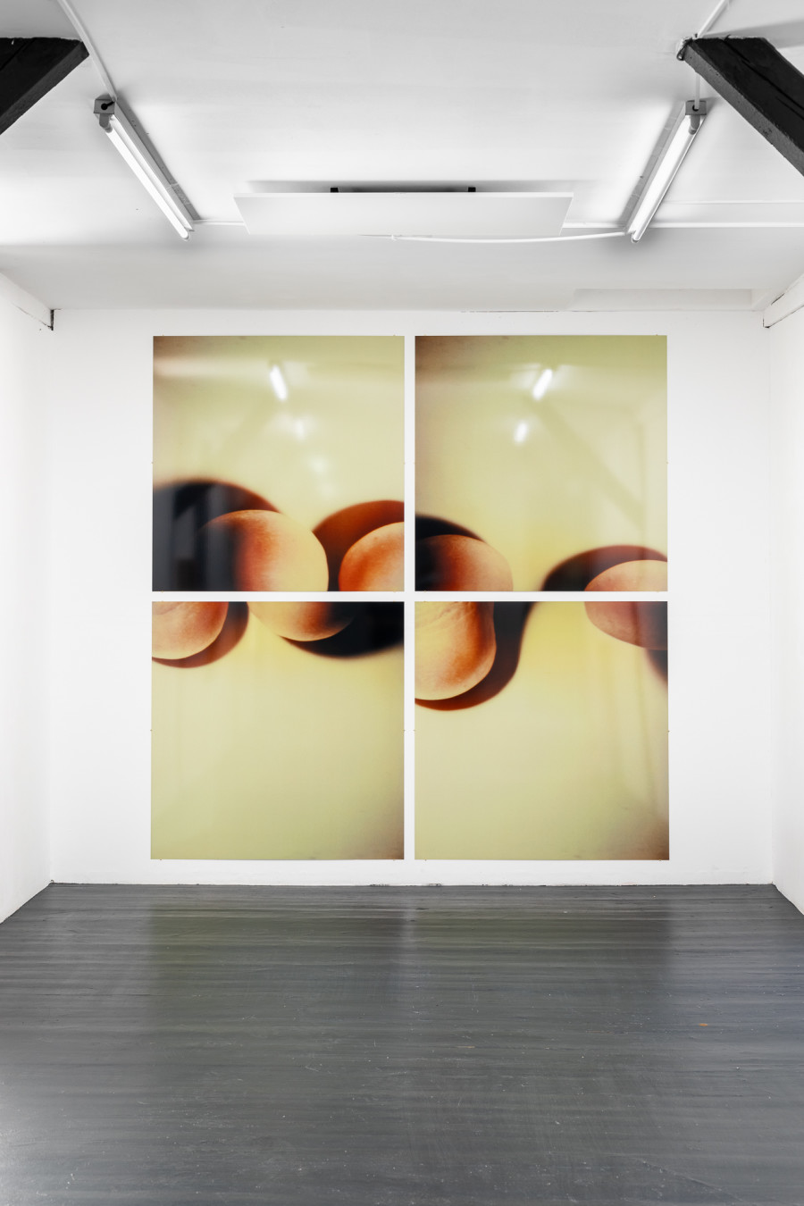 Hannah Villiger, Sculptural, 1994, C-print of a polaroid, mounted on aluminum, each 125 x 123 cm. Exhibition copy THE ESTATE OF HANNAH VILLIGER. Photo: Kilian Bannwart
