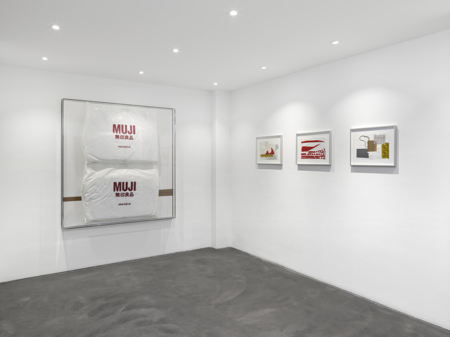 Exhibition view, photo: Annik Wetter. Courtesy the artist and galerie Maria Bernheim