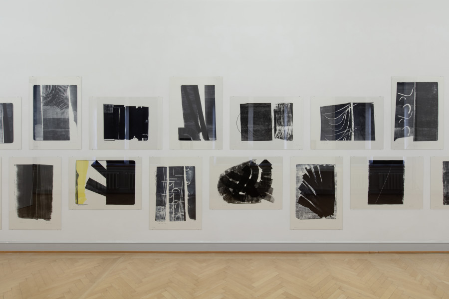 Installationsansicht Kunstmuseum St.Gallen, Foto: Stefan Rohner