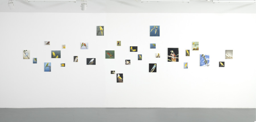 Léopold Rabus: Les propriétés des choses, exhibition view, Wilde, Geneva, 2021 © Photo: Greg Clément. Courtesy the artist and Wilde