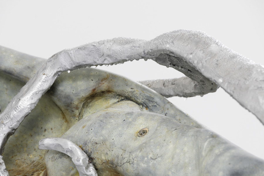 Exhibition view, Isabelle Andriessen, BUNK, CAN Centre d’art Neuchâtel, 2021. Photography: Aurélien Mole / all images copyright and courtesy of the artist and CAN Centre d’art Neuchâtel.