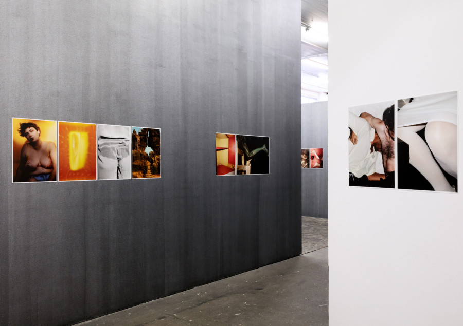 Installation view, Anne Morgenstern, Indocile and Tender, Centre de la photographie Genève, 2022. Image: Anne Morgenstern