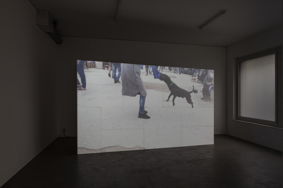 Exhibition view, d.e.d. world, 2022, HD video, color, sound, 16 secs (loop), projection on 14 Styrofoam panels, 2 x 3.5m, buttermilk on windows. Espace 3353, 2022. All credits to ©Anastasia Mityukova