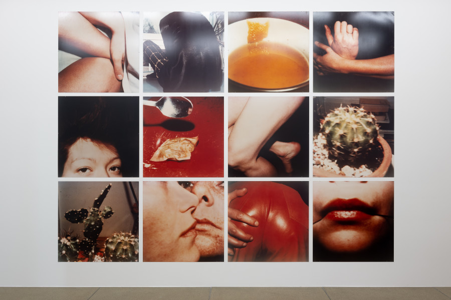 Installationsansicht Davor · Darin · Danach. Die Sammlung im Wandel, 15.5.–7.8.2022, Aargauer Kunsthaus, Aarau. Hannah Villiger (*1951). Arbeit (12-teilig), 1980/1981, C-Print ab Polaroidvorlage auf Aluminium, 355 x 475 cm. Aargauer Kunsthaus, Aarau. Foto: ullmann.photography