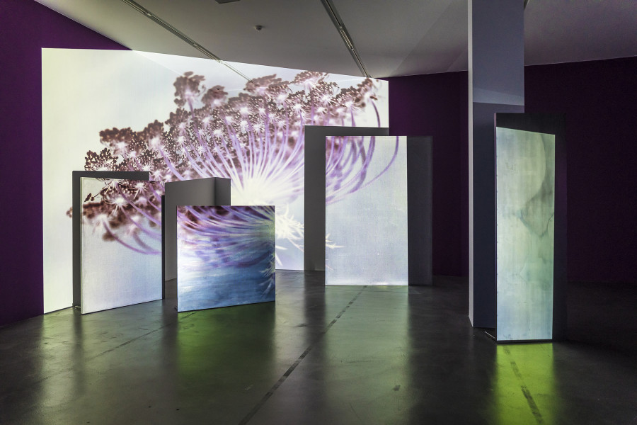 Basel Abbas & Ruanne Abou-Rhame, May amnesia never kiss us on the mouth: Only sounds that tremble through us, 2020 - 2022, 4-channel video projection (HD, color, sound) on partition wall, metal and concrete panels, photographic gel (detail). Performer: Rima Baransi, Haykal, Julmud, Makimakkuk. Courtesy the artist. Co-commissioned by the Museum of Modern Art, New York, and Dia Art Foundation, New York. Photo: Peter Baracchi