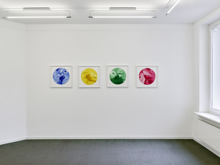 Exhibition view, Rebuilding Connections, Edition VFO, 2022.