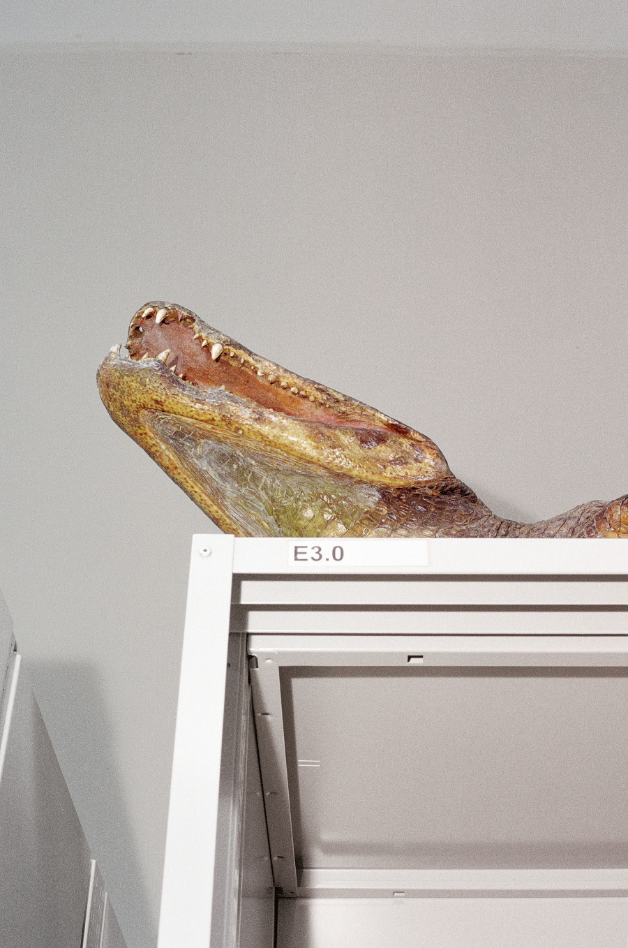 Denise Bertschi, Haunting Home, 2019 Analogfotografie, Naturama, Aarau © Denise Bertschi