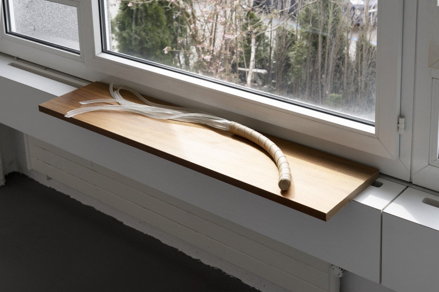 Marta Riniker-Radich - The thoughts mold the brain, as certainly as the brain molds the thoughts, 2016; Courtesy Galerie Francesca Pia. 2022 courtesy the artists and suns.works. Photography: Claude Barrault