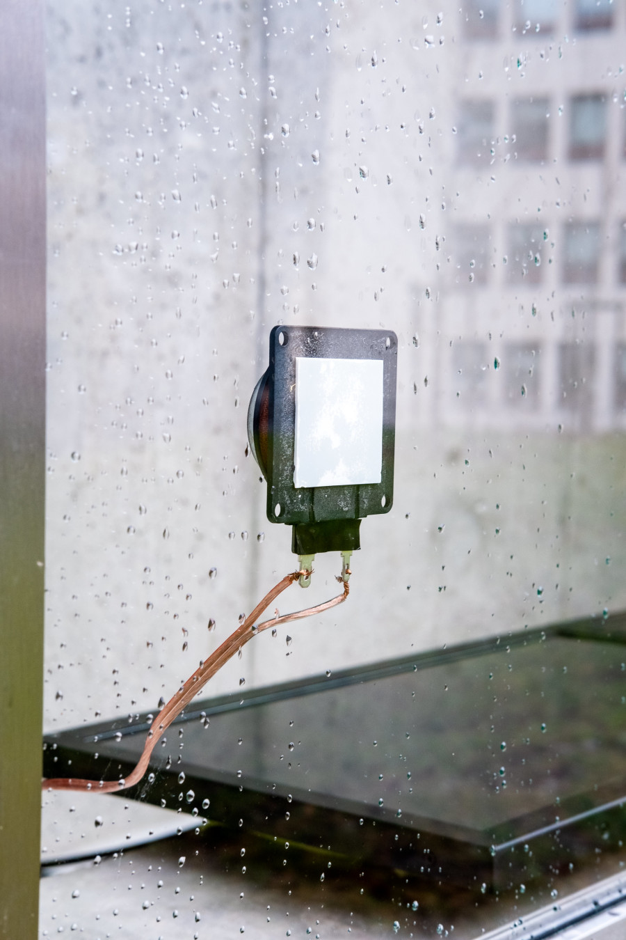 Thomas Julier, Dawn Chorus Protocol, Lemme, Sion, Switzerland, Curator: Josiane Imhasly, Photo credit: Romain Iannone