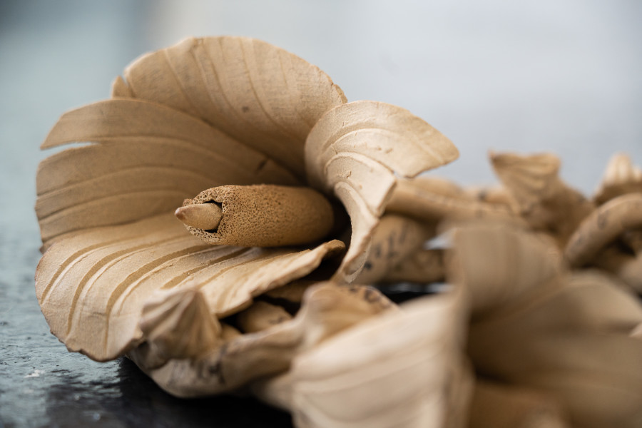 Ayla Dymterko, Vestige Vinok I, with hollyhocks (detail(, 2022. Stoneware ceramic with charcoal glaze. 10 x 38 x 28 cm. Unique. Photographer: Marcel Scheible. Courtesy of the artist and VITRINE London/Basel