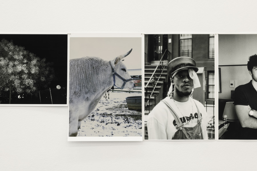 Ari Marcopoulos, Upstream, 2022. Photo: Kunst Halle Sankt Gallen, Sebastian Schaub. Courtesy: the artist; galerie frank elbaz, Paris.