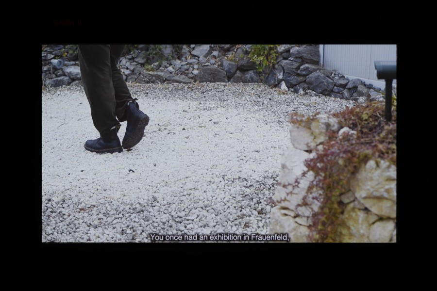 Cheyenne Oswald, The garden became a boundless wideness - Episode 1, 2020, Courtesy the artist. Installation view Kunsthaus Baselland 2022. Photo: Finn Curry