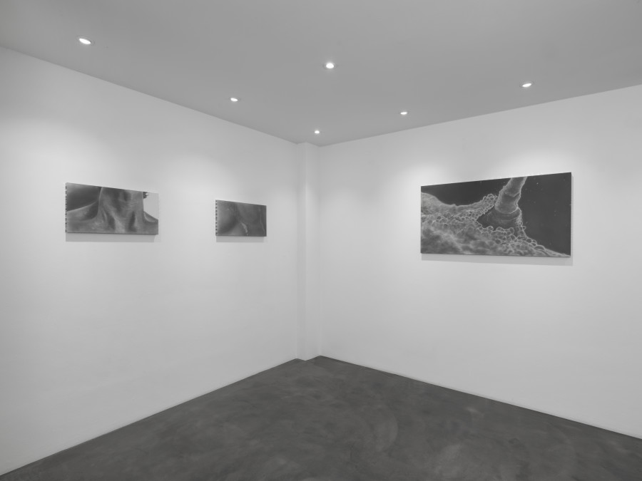 Exhibition view, Juan Antonio Olivares, SELF-PORTRAIT, Galerie Maria Bernheim, 2022.