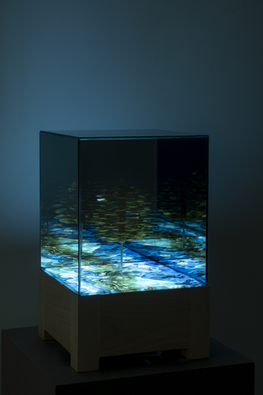 Exhibition view, Alexandre Joly, Double Rainbow, Wilde, 2022. Photo: Greg Clement