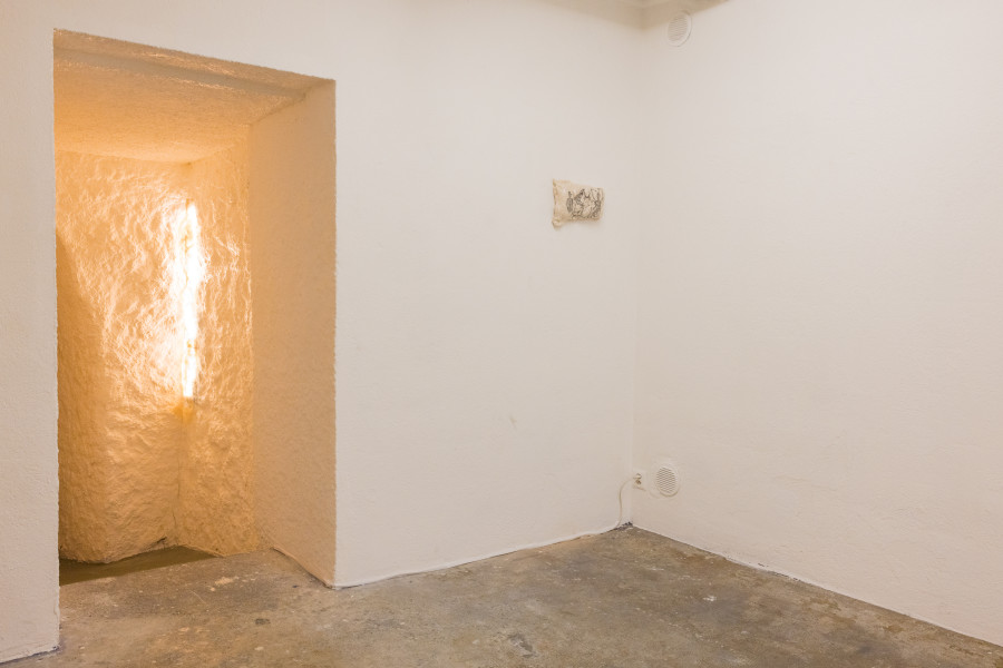 Exhibition view « Fusionner nos Ardeurxes » at WallStreet, Fribourg, 2022 / Photo: Julie Folly / Courtesy: the artist and WallStreet