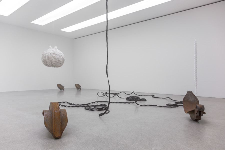 Vanessa Billy, We Become, installation view Kunsthaus Centre d’art Pasquart, Foto / photo: Lia Wagner