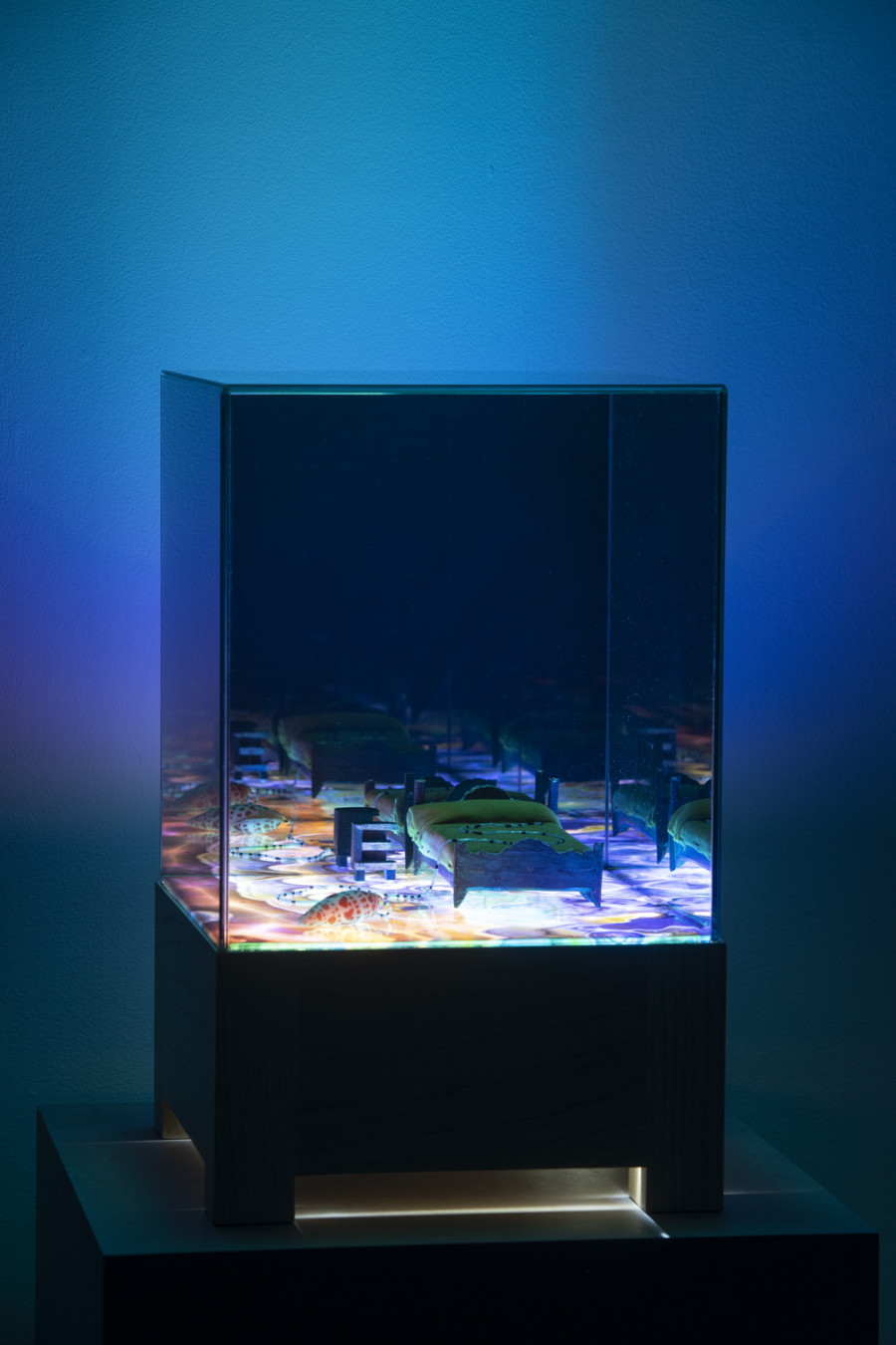 Exhibition view, Alexandre Joly, Double Rainbow, Wilde, 2022. Photo: Greg Clement