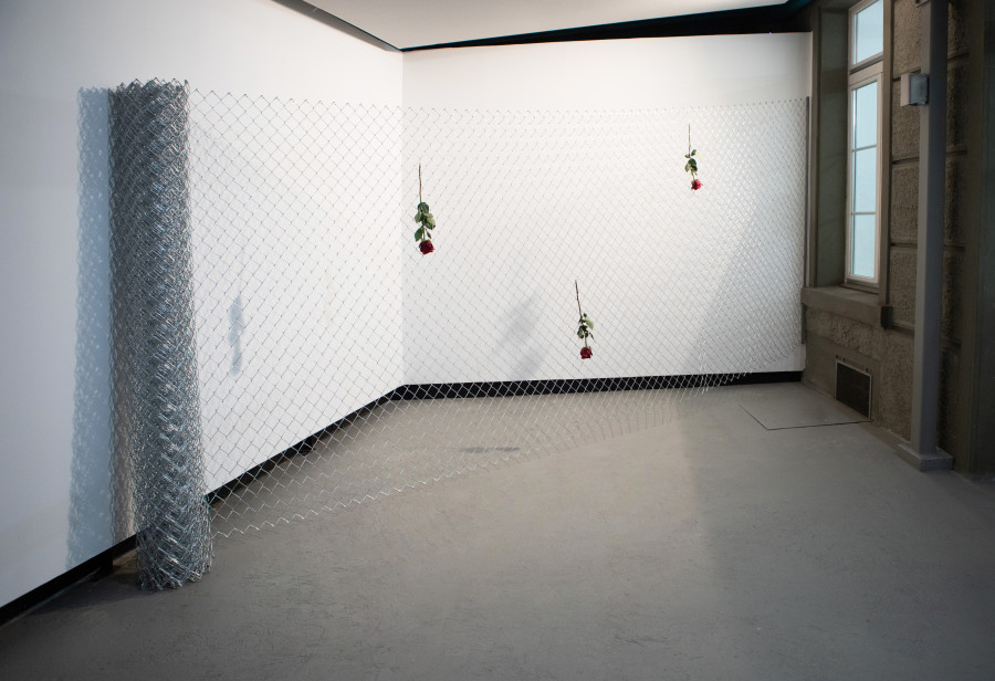 Exhibition view, David Weishaar, The Rose is without ‘Why’, KALI Gallery, 2022. Photo credit @vogeleye and @KALI Gallery Lucerne