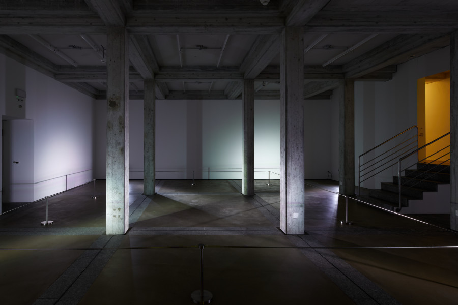 Martina Morger, On Curation, 2018, Performance & Installation, Foto: Fabienne Watzke