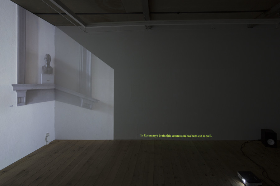 Exhibition view, Lea Schaffner –  Aus dem Kopf /From the Head (By Heart), sic! Elephanthouse, 2022. Photo credit: Andri Stadler