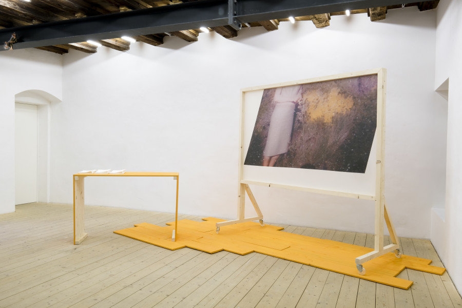 Camille Kaiser, opening scene : bright flowers, somewhere oustide oran, 2021. Vue de l'exposition it won’t be silence, CAN Centre d’art Neuchâtel Photo: Sebastian Verdon