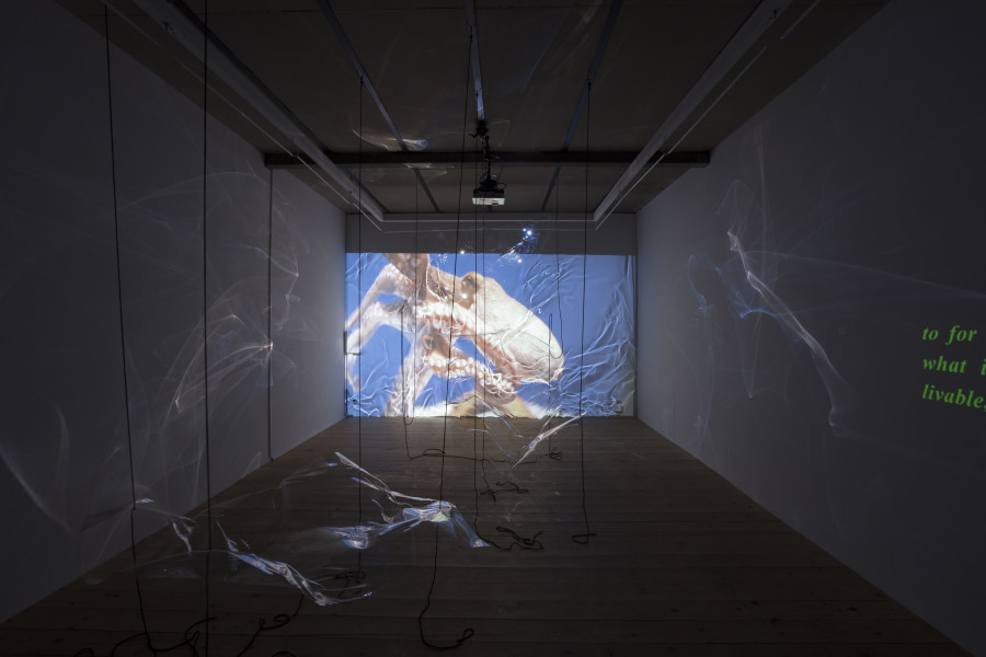 Exhibition view, Riikka Tauriainen – Intimacy of Strangers, sic! Elephanthouse, 2020-2021. Photo credit: Andri Stadler