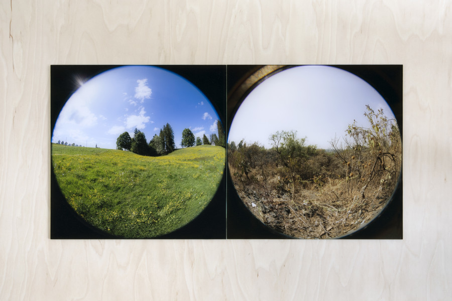 Installation view, Emanuel Rossetti: Beatitude, Abbatiale Bellelay, 2022, Photo: Gina Folly