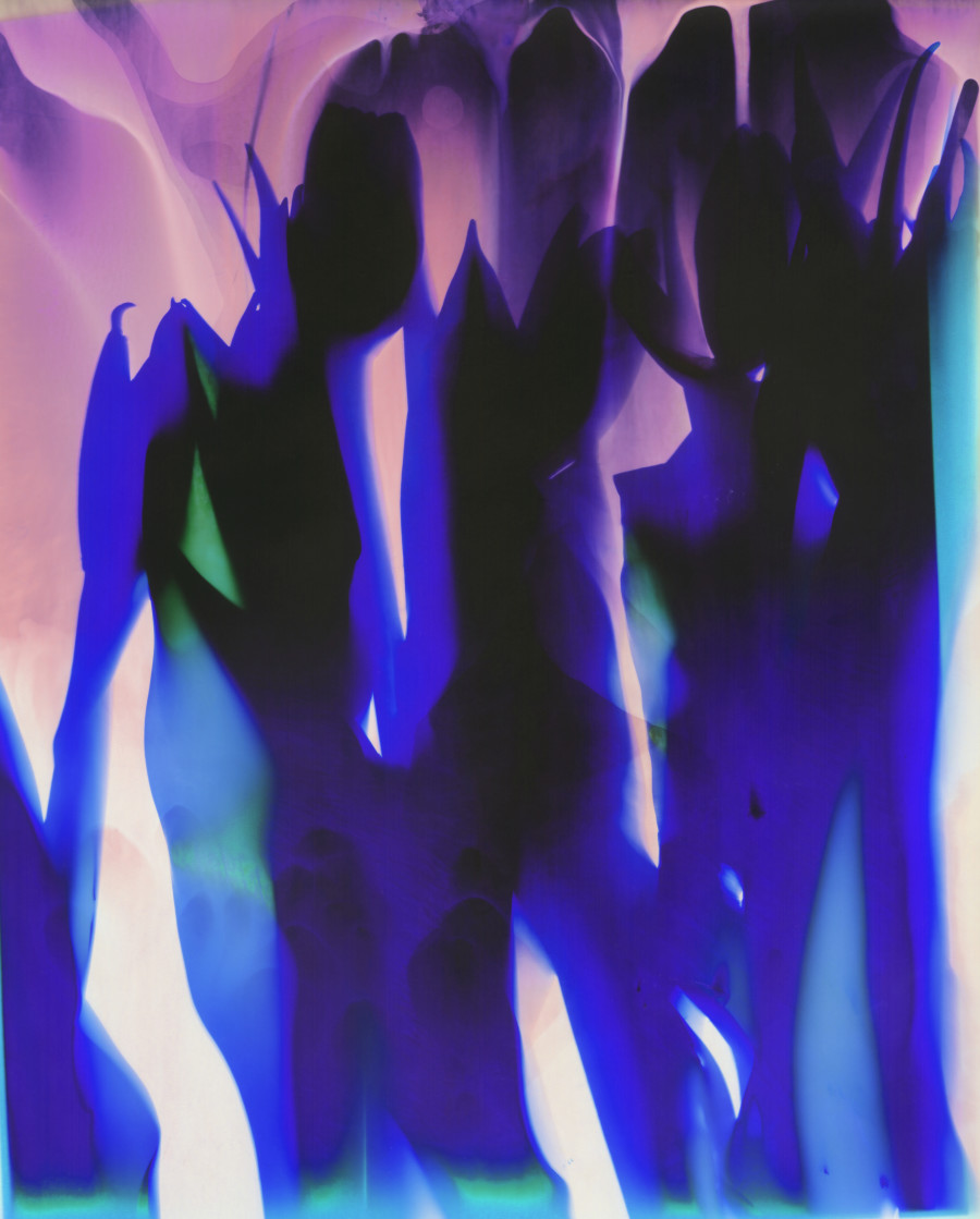 Série Botanica. © Christelle Boulé