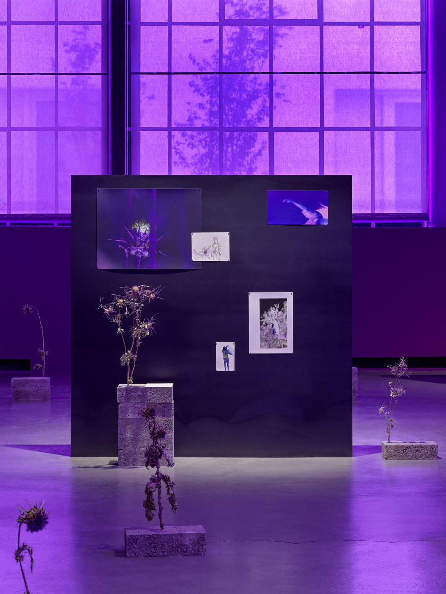 Basel Abbas & Ruanne Abou-Rhame, Where the soil has been disturbed, 2022, Archival Inkjet prints on metal and concrete panels, dried Syrian thistle and milk thistle, bricks (detail). Courtesy the artist. Photo: Stefan Altenburger Photography, Zurich