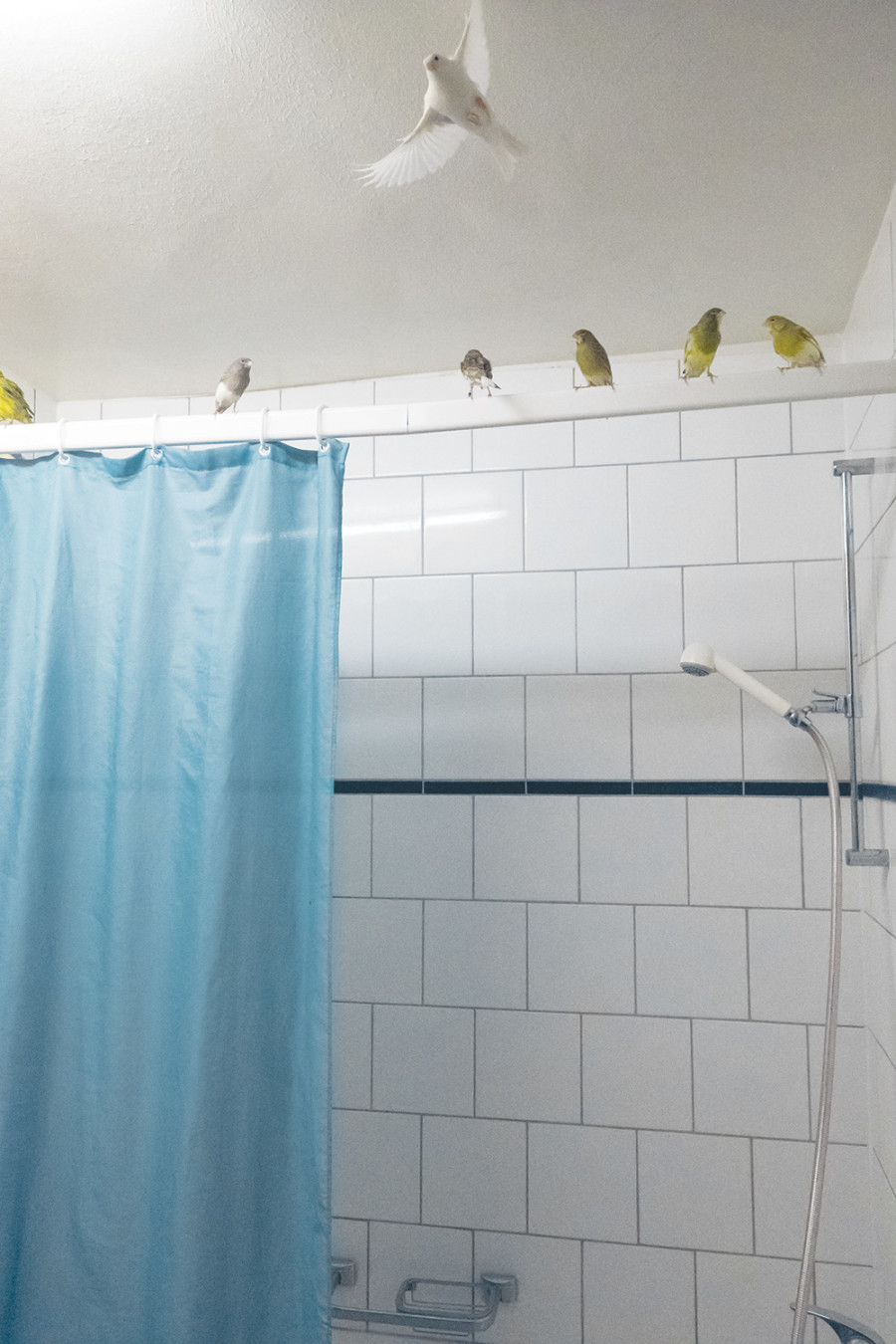 Alex Ayed, installation view at CAN - Centre d'Art de Neuchâtel. Photography: Sebastian Verdon/ all images copyright and courtesy of the artists, CAN Centre d’art Neuchâtel, Sans titre (2016).