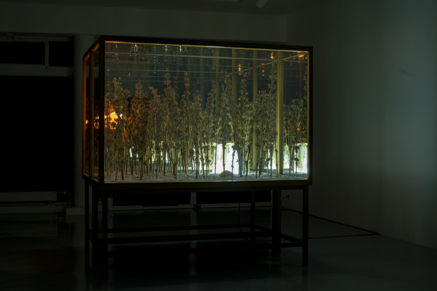 Exhibition view, Alexandre Joly, Double Rainbow, Wilde, 2022. Photo: Greg Clement