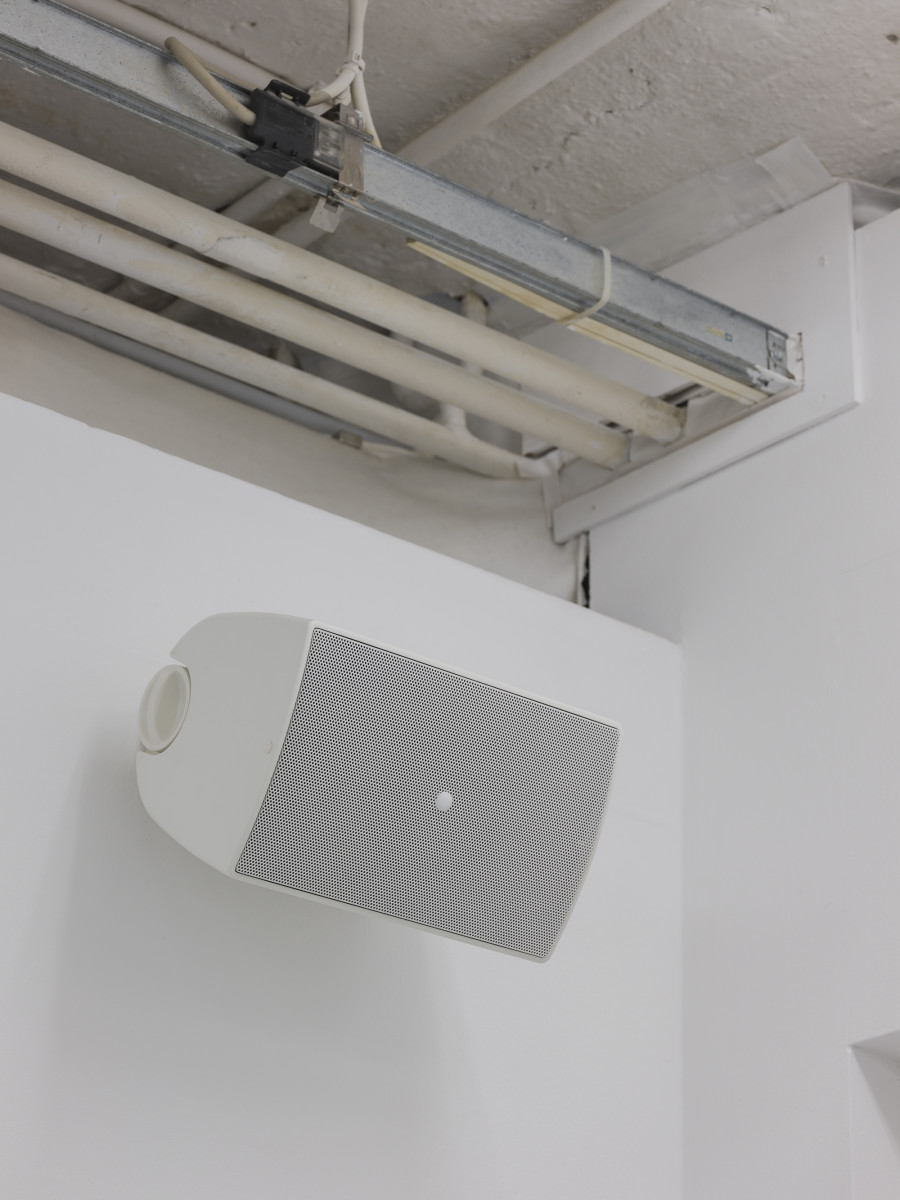 Caroline Bourrit, Charge Fantôme, Installation view, 2022, CAN Centre d’Art Neuchâtel,  Photo: S. Verdon