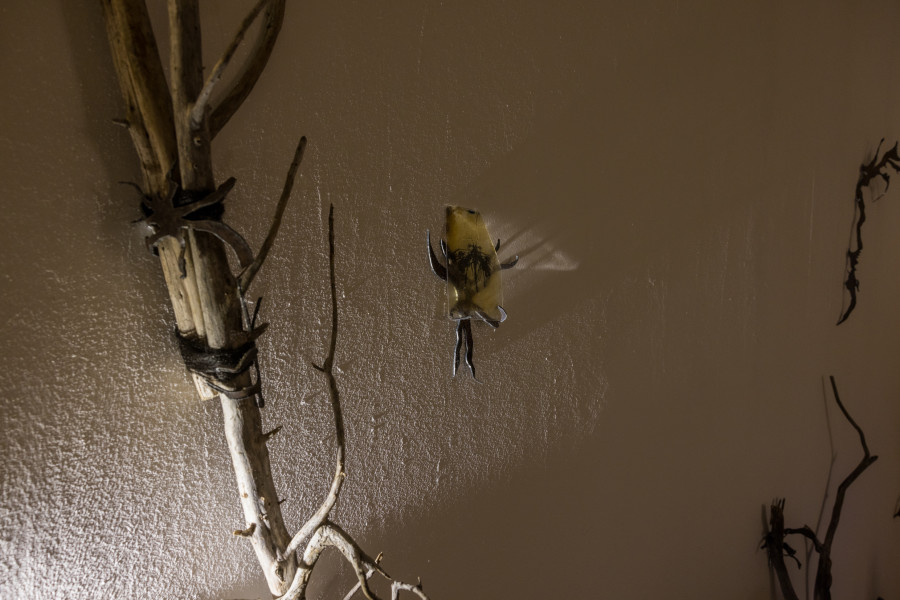 Yolane Rais, Cyanotype papillon, 2022/ Photo: Julie Folly / Courtesy: the artist and WallStreet