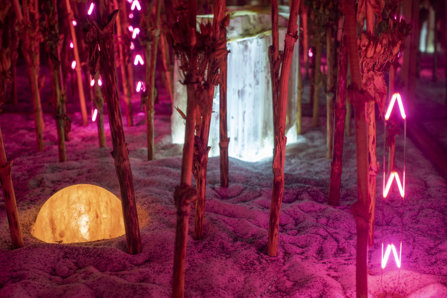 Exhibition view, Alexandre Joly, Double Rainbow, Wilde, 2022. Photo: Greg Clement