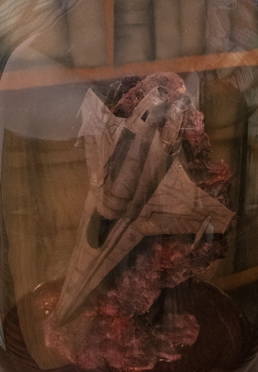 Ilaria Vinci, A beating of giant wings (Viper MK VII), 2021, Glass jar, mixed media 55 x 25 x 25 cm / Picture: Flavio Karrer / Courtesy: the Artist and Plymouth Rock