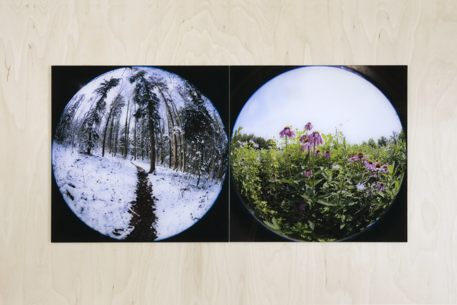 Installation view, Emanuel Rossetti: Beatitude, Abbatiale Bellelay, 2022, Photo: Gina Folly