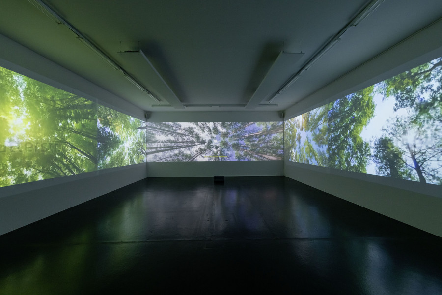 Gabriel Studerus & Julia Geröcs, du woher, 2019 2-Kanal Videoinstallation, Full HD, Farbe/Ton, 24'27", Masse variabel Foto: René Rötheli