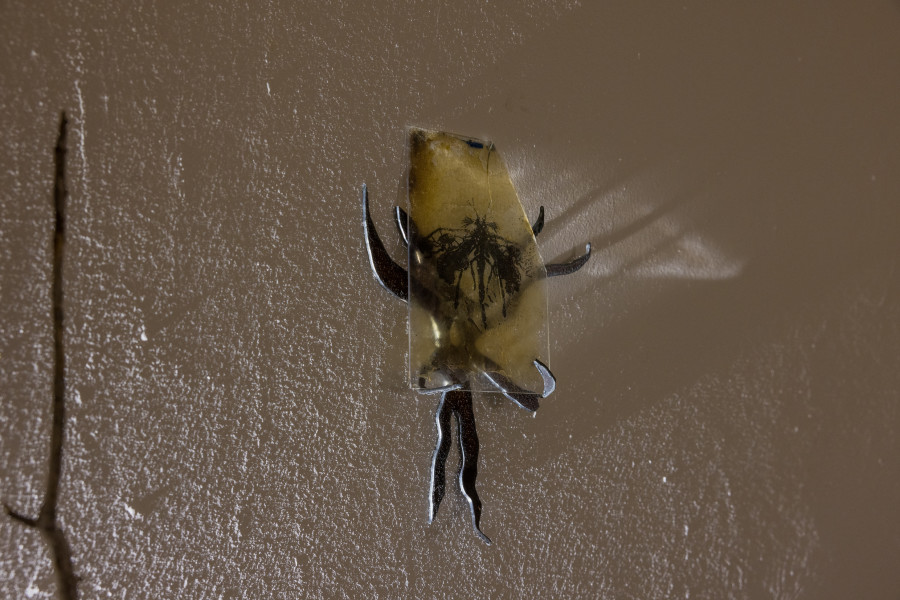 Yolane Rais, Cyanotype papillon, 2022/ Photo: Julie Folly / Courtesy: the artist and WallStreet