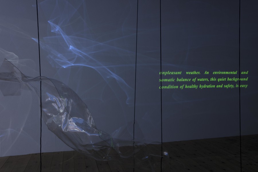 Exhibition view, Riikka Tauriainen – Intimacy of Strangers, sic! Elephanthouse, 2020-2021. Photo credit: Andri Stadler