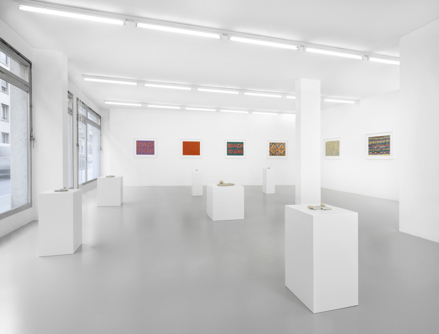 Exhibition view, Lionel Estève, So Much, xippas, 2022. Photo credit: Julien Gremaud