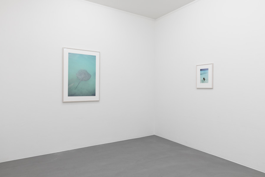 Exhibition view, When the well’s dry, Mai 36 Galerie, 2022.