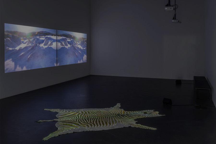 zentral!, Ausstellungsansicht, 2020, mit Werken von Anna Wiget und Tatjana Erpen, Foto: Stefan Walter