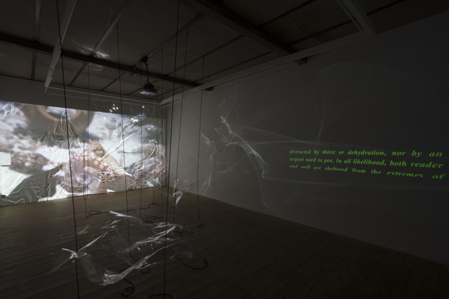Exhibition view, Riikka Tauriainen – Intimacy of Strangers, sic! Elephanthouse, 2020-2021. Photo credit: Andri Stadler