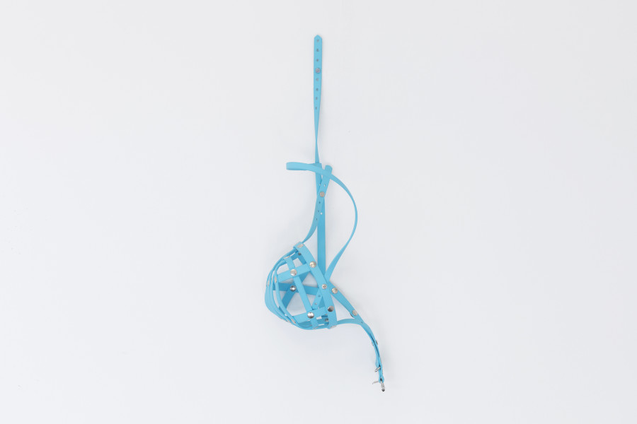 Marie Matusz -Truffle Muzzle (WHO), 2020. 2022 courtesy the artists and suns.works. Photography: Claude Barrault