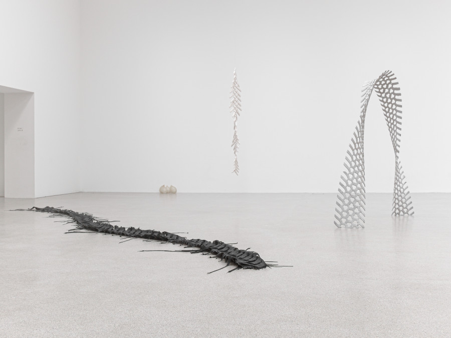 Vanessa Billy, We Become, installation view Kunsthaus Centre d’art Pasquart, Foto / photo: Lia Wagner